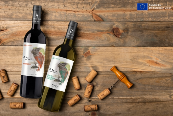 觉醒的风土：塑造"火山传奇"的无声力量